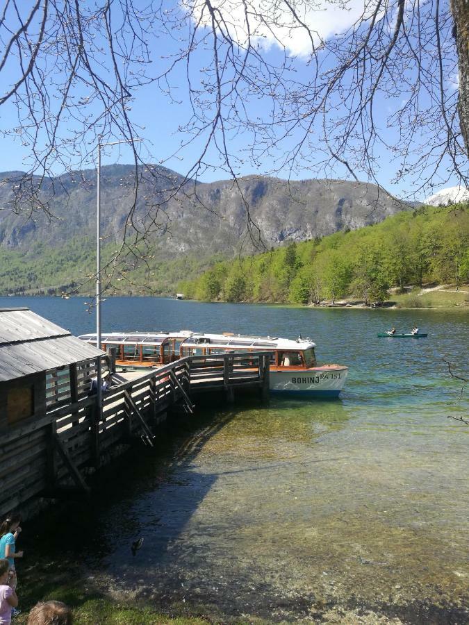 2 Studio & Apartment Cvetek Bohinj Luaran gambar