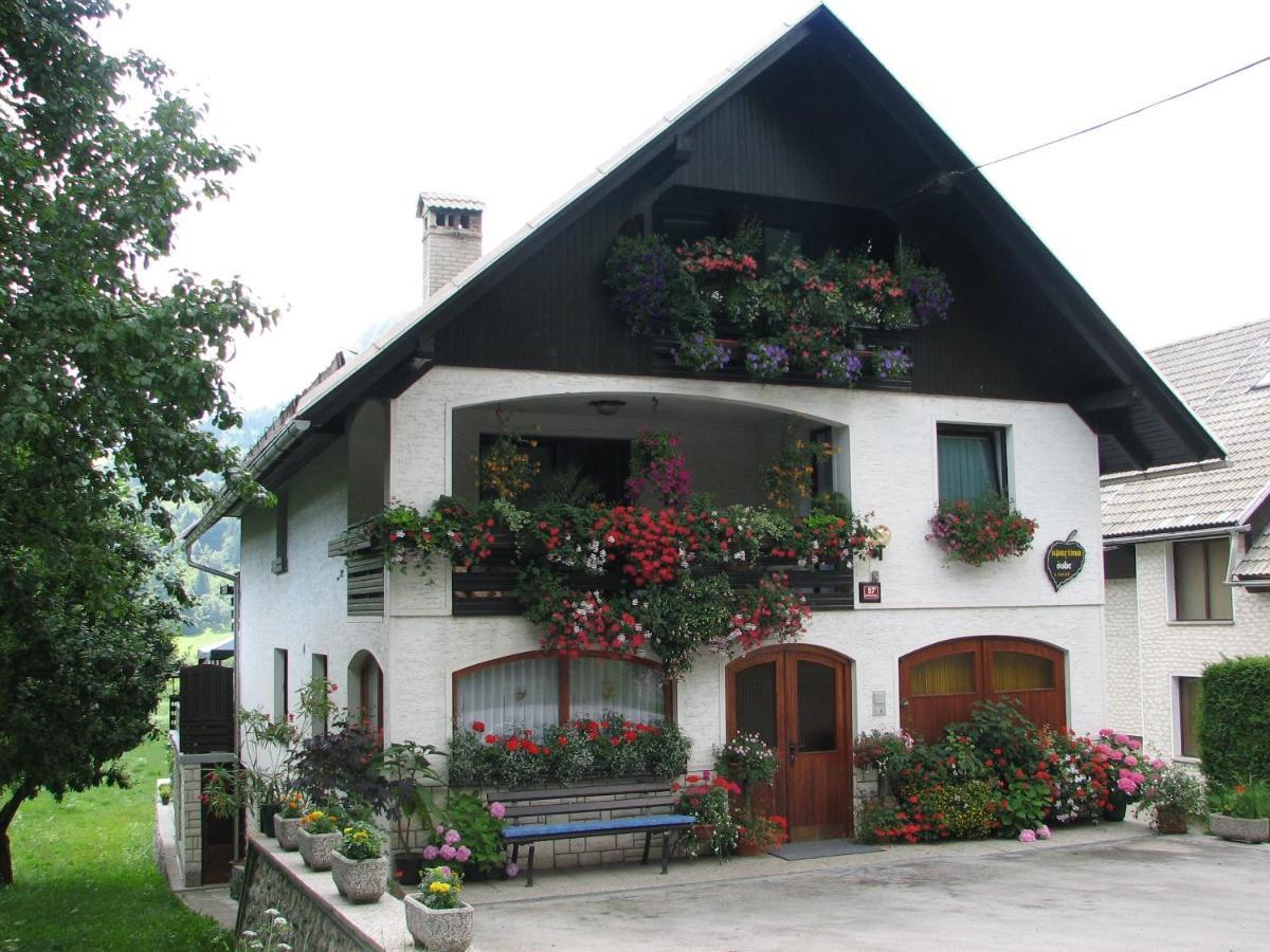 2 Studio & Apartment Cvetek Bohinj Luaran gambar