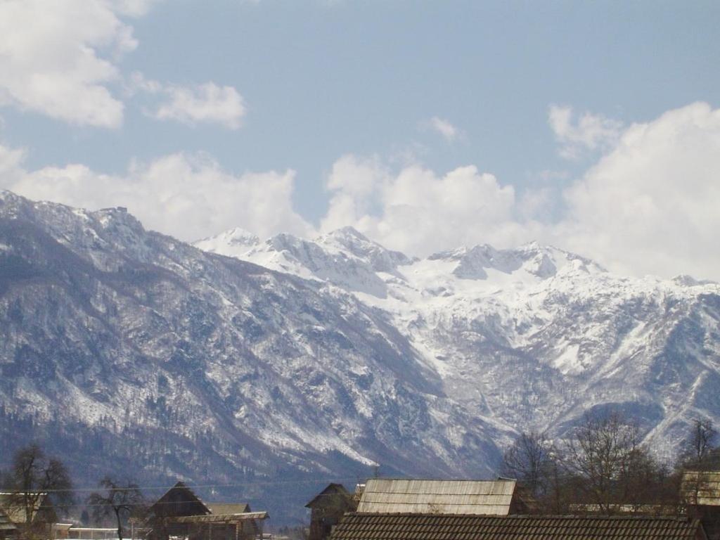 2 Studio & Apartment Cvetek Bohinj Luaran gambar